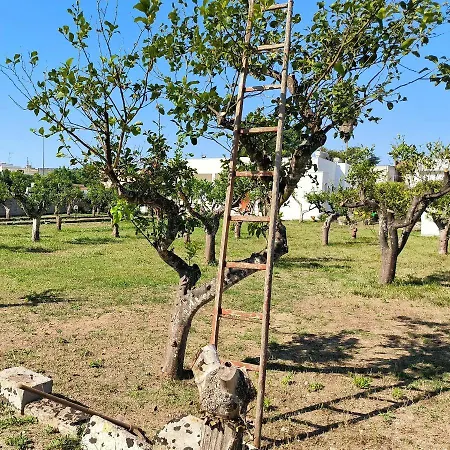 Borgo Borgia
